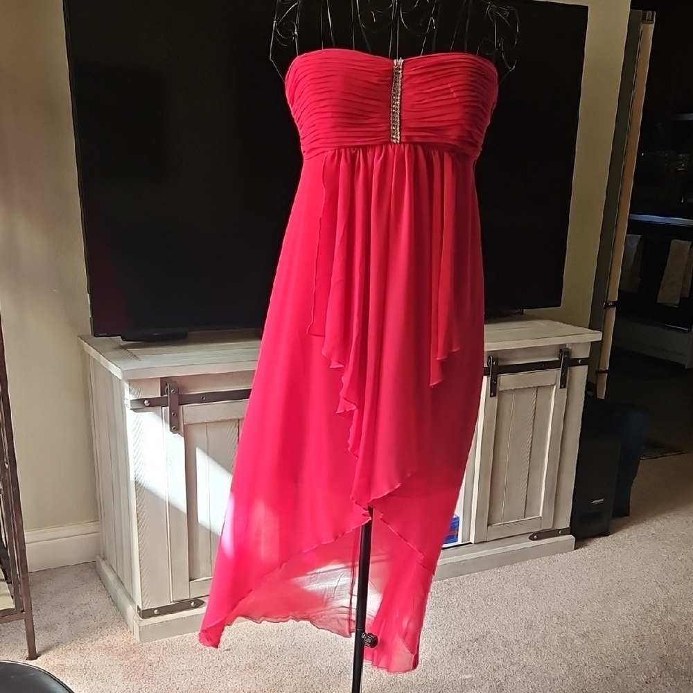 Roberta  Strapless Pink Dress with Embellishment